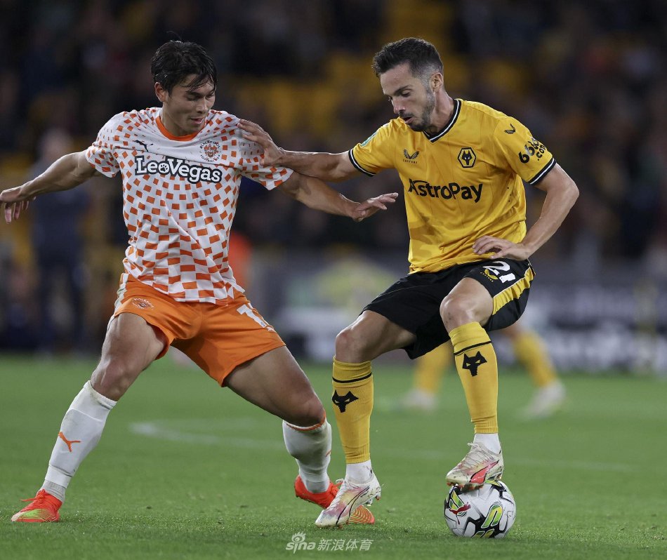 格局的潜在 格局的潜在